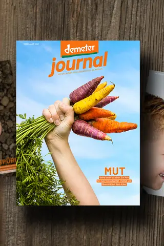 Demeter Journal 49