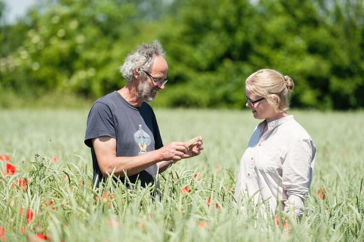 Zwei Personen stehen in Feld