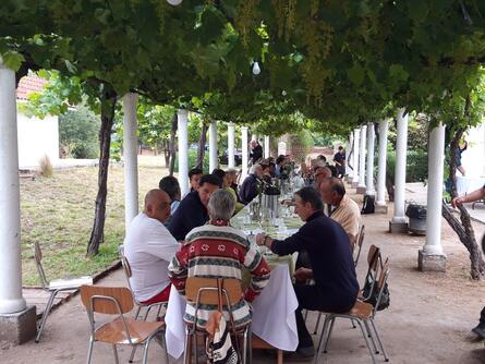 Personen sitzen an langem Tisch unter Blättern